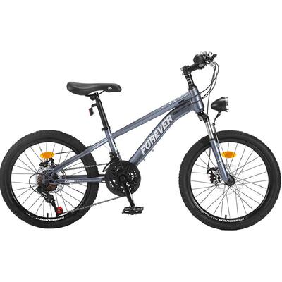 永久牌童车FZ-672自行车