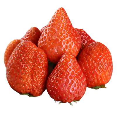 正宗丹东99草莓红颜牛奶大草莓新鲜水果礼盒当季整箱东港九九空运