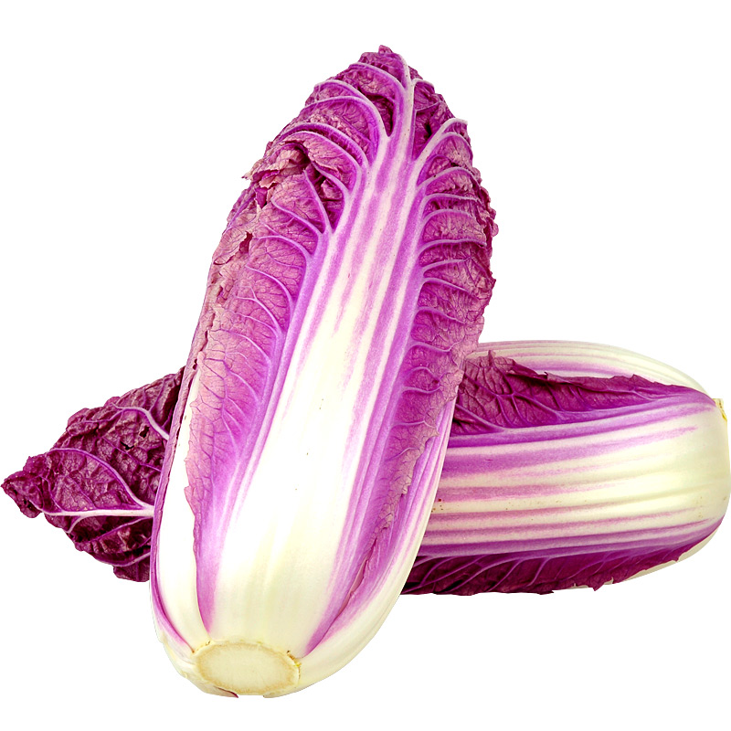 新鲜山东紫白菜农家自种紫白菜酒店用菜凉拌沙拉原材料