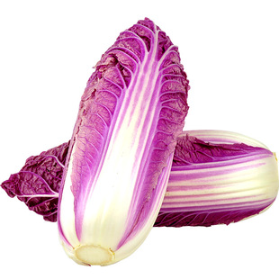 新鲜山东紫白菜农家自种紫白菜酒店用菜凉拌沙拉原材料