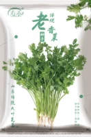 Традиционные старые семена кориандра 30г оригинальные ≈ 2500 штук (купи 2 получи 1 в подарок) крупные листья, выращенные в любое время года.