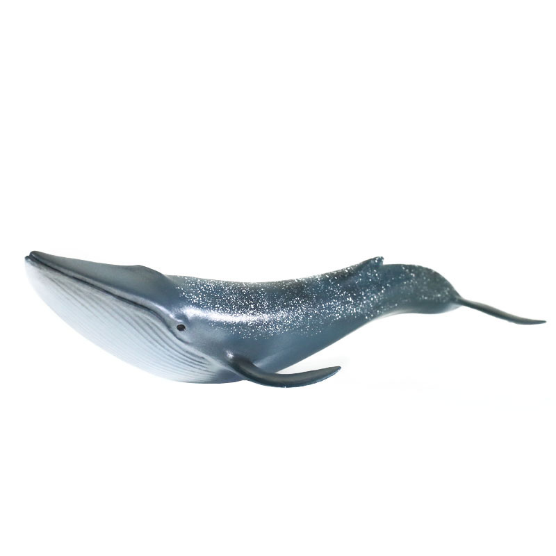 海底世界大白鲨海洋动物儿童玩具