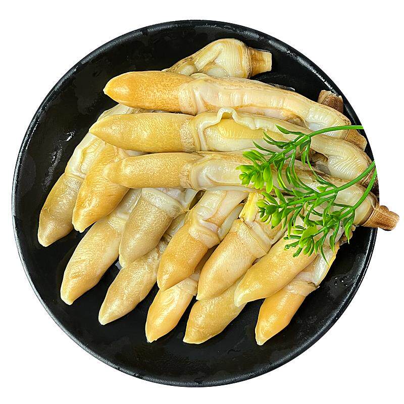 蛏王肉大个带黄无沙蛏王肉