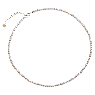 新款施家小米粒珠2mm极细珍珠项链女高级感小众轻奢锁骨链送女友