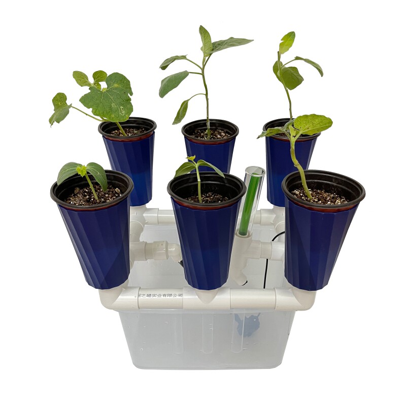 鱼菜共生设备无土栽培种植潮汐杯系统阳台种菜箱亲子教学种植器具