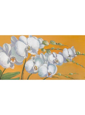 若奈兰花纯手绘油画横幅挂画客厅