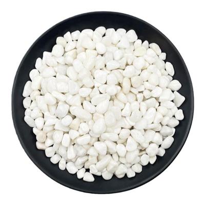 白色鹅卵石白石子批发白色石子