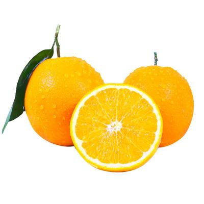 脐橙橙子新鲜大果水果甜橙整箱