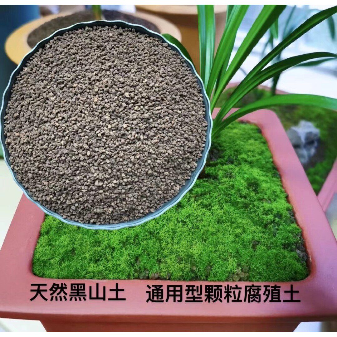 通用天然黑山土适用兰花护茎土兰花颗粒土微量元素疏松抗病氮磷钾