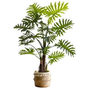 掬涵仿真绿植春羽假树盆栽轻奢大型仿生植物室内客厅落地造景摆件
