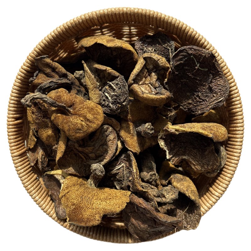 野生松蘑手工挑选干净承德特产