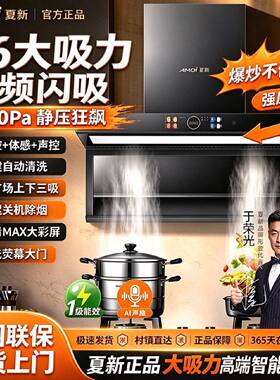 夏新抽吸油烟机厨房家用大吸力顶侧双吸一级智能新款烟感厨房神器