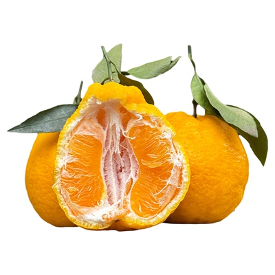 四川柠檬不知火丑橘丑柑孕妇当季新鲜水果现摘现发甘甜丑八怪橘子