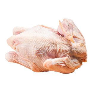 农家三黄鸡正宗土鸡散养新鲜童子鸡整只走地鸡优质肉质口感