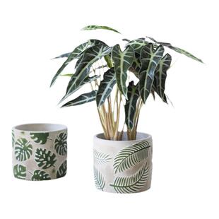 北欧ins风简约小清新浮雕龟背竹针葵叶圆形透气水泥花盆桌面阳台