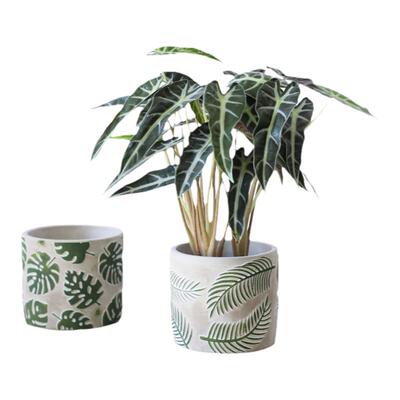 龟背竹水泥花盆透气北欧