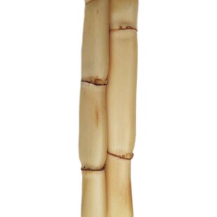 芦根新鲜中药材野生芦苇根 真空下火苇子根 凉茶白茅根芦苇根新品