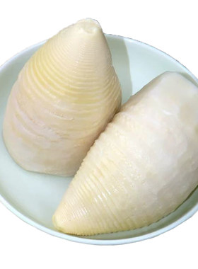冬笋新鲜竹笋嫩笋农产品水煮火锅食材脆嫩食用笋尖真空原味