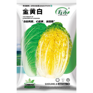金黄白黄心大白菜种子种籽孑子冬储秋季冬季过年山东胶州白莱