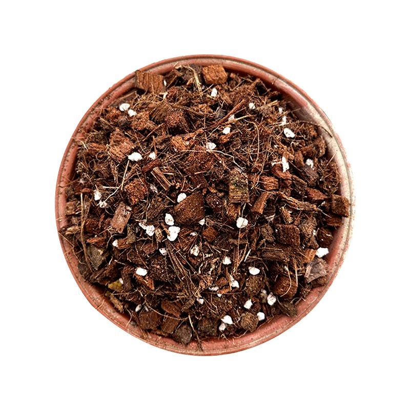 50%粗椰粒配比疏松透气