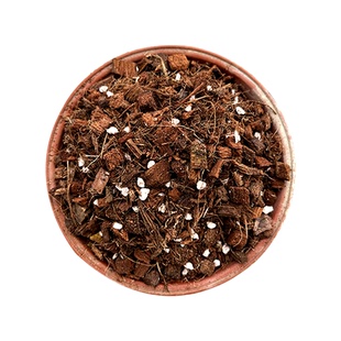 月季土专用种植土月季玫瑰专用营养土养花通用花泥有机泥炭土包邮