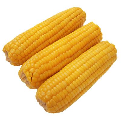 新货东北黄糯玉米真空包装新鲜黏玉米粘苞谷粗粮主食低脂产地直发