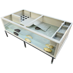 蛋龟透明乌龟缸玻璃PP塑料龟池窄桥缸白化巴西养殖产蛋种龟繁殖箱