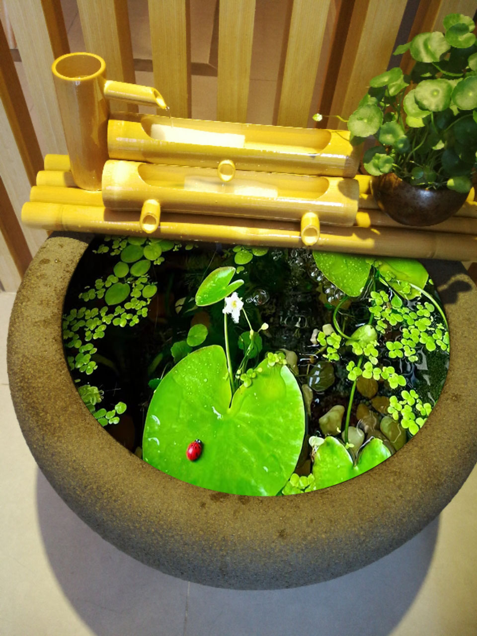 陶瓷古法养鱼缸风水阳台庭院睡莲缸创意循环流水过滤造景特大号缸