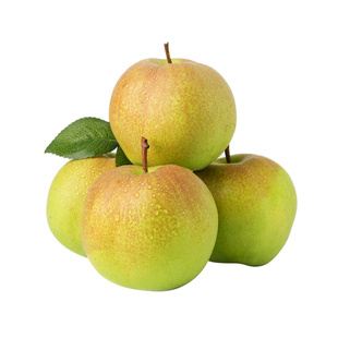 山西临汾特产隰县玉露香梨当季水果小西天地方特色年货礼盒送礼