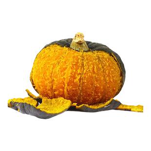 小贝贝南瓜种子高产日本进口大绿贝贝孑板栗蔬菜四季苗香甜春秋籽