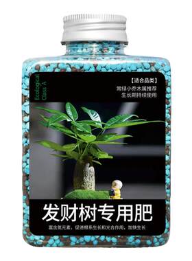 发财树肥料专用营养液