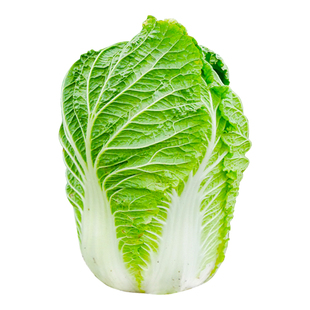 秋宝大白菜种子黄心甜脆大白菜高产胶州菜籽种夏秋四季耐热菜种籽