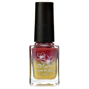 encounter the blooms下午茶系列·明治白巧酥热可可 免烤不可剥