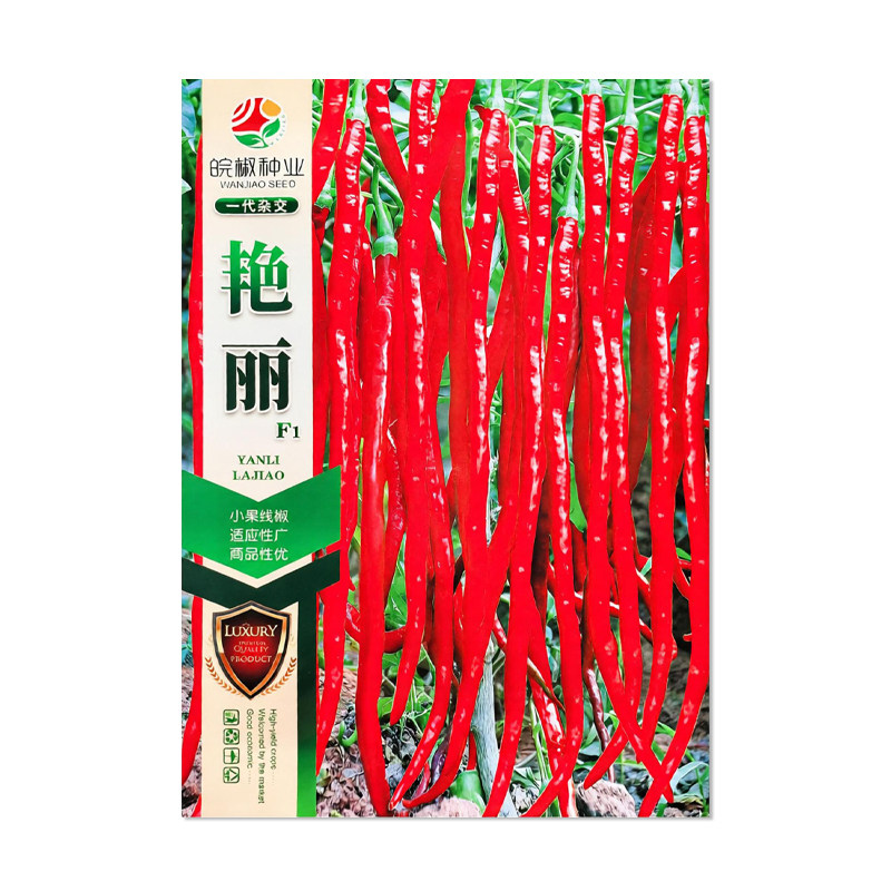 皖椒种业艳丽辣椒种子