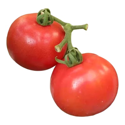 原味一号西红柿酸甜爽口自然成熟