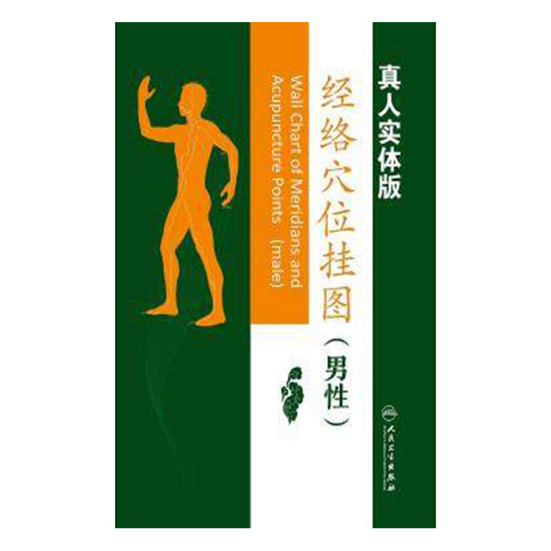 经络穴位挂图(男性版) 真人实体 人民卫生出版社9787117240215