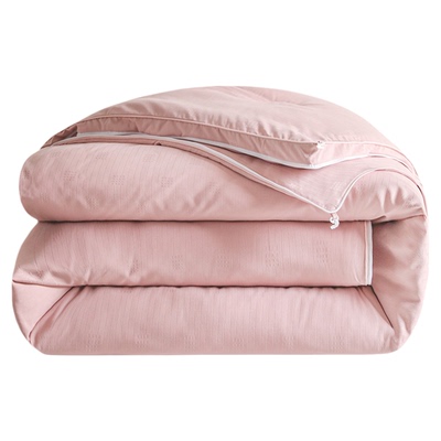 2023新款布拉格蚕丝大豆子母被