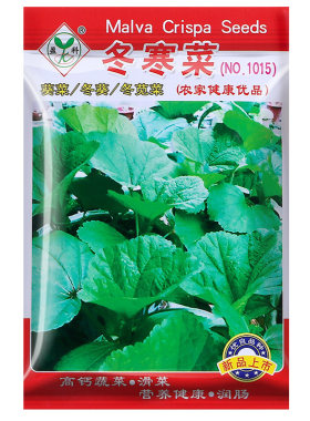 买2送1冬寒菜种子今年新种子