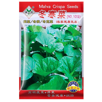 买2送1冬寒菜种子今年新种子