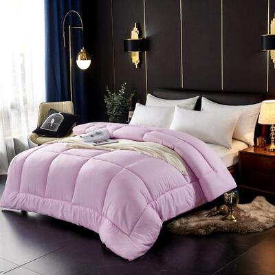 宾馆酒店专用床上纯白色双人春秋冬被子单人加厚保暖九孔丝棉被芯