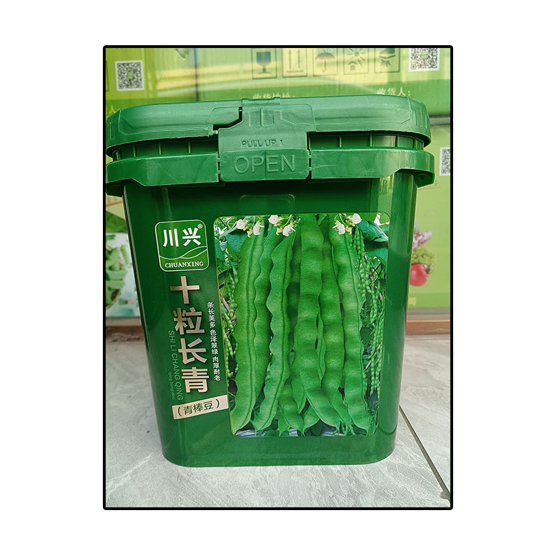 十粒长青青棒豆4.5kg青荚四季豆蔬菜种子孑籽别名架豆芸豆刀豆芸