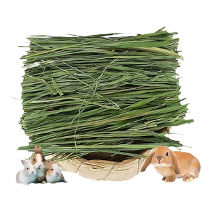 甘肃归乡提烘干提摩西草草段兔兔龙猫豚鼠荷兰猪兔子干草提摩西草