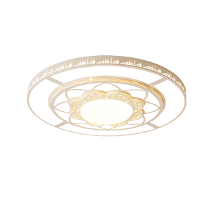 2025新款客厅灯轻奢花朵大圆形灯简约现代大厅主灯网红卧室餐厅灯