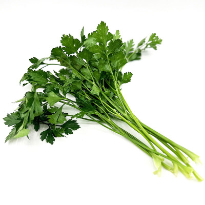 西餐厅食材沙拉欧芹新鲜意大利芹
