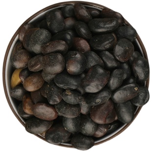 新采国槐种子 速生国槐种子黄花槐 红花槐 刺槐 洋槐紫穗槐树种子