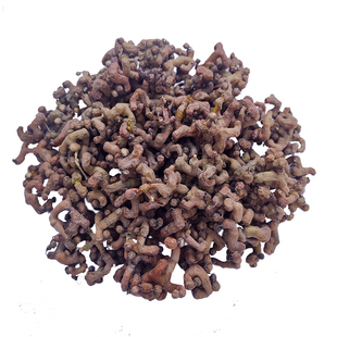 新鲜拐枣水果野生秦岭2025年霜打万寿果半干拐爪果金钩子枳椇泡酒