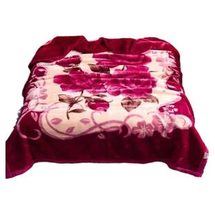 拉舍尔毛毯被子床单加厚双层保暖珊瑚绒双单人学生宿舍冬季毯子女