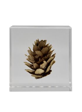 亚克力永生花个性化植物标本定制