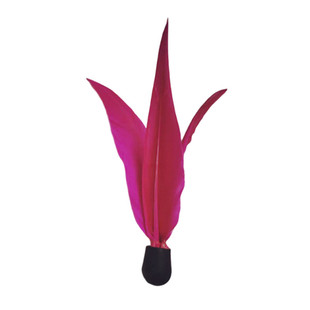 金兰花国际比赛专用板羽球学校教学训练考试比赛专用三毛球防风毽