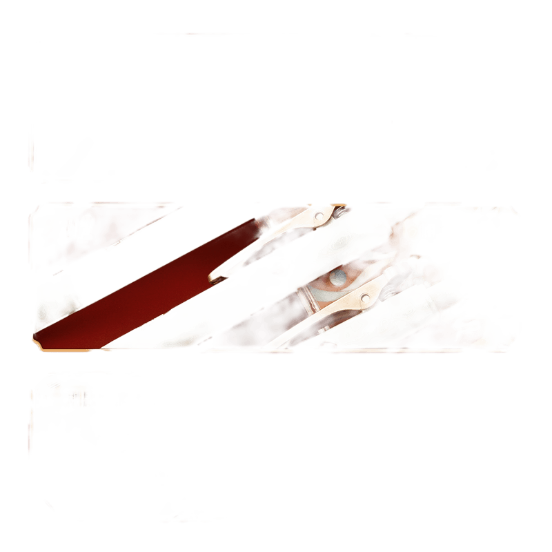 晨光文具 孔庙祈福 速干中性笔0.5中考高考用考试笔黑色碳素笔双珠子弹头按动学生公务员考试备考刷题专用